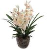 Silk Cymbidium Orchid Stem - White, 30" Long with 10 Flowers and 2 Buds | Perfect for Weddings, Home Decor Lifelike Artificial Floral Stem | Elegant White Color | Includes One Stem per Order view 1