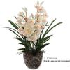 Silk Cymbidium Orchid Stem - White, 30" Long with 10 Flowers and 2 Buds | Perfect for Weddings, Home Decor Lifelike Artificial Floral Stem | Elegant White Color | Includes One Stem per Order view 3