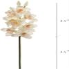 Silk Cymbidium Orchid Stem - White, 30" Long with 10 Flowers and 2 Buds | Perfect for Weddings, Home Decor Lifelike Artificial Floral Stem | Elegant White Color | Includes One Stem per Order view 4