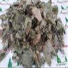 Panihari LIFERR Parijat Leaves Harsingar Leaves Powder - Nyctanthes Arbor-tristis Powder - Night Jasmine (100g) view 2