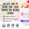 Lolleez Organic Lollipops for Sore Throat Relief  Perfect for Soothing A Sore Throat While Tasting Great  Mixed Berry with Elderberry, 2-Pack (15-Count Bags, 30 Total) view 3