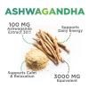 Ashwagandha Gummies 30:1 Extract - 3000mg Equivalent - Advanced Ashwagandha Gummy Formula for Daily Use - Adaptogenic Supplement for Natural Calm, Relaxation, & Immune Support - Vegan - 60 Gummies view 3