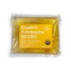 100% Organic SCOBY Kombucha Starter Kit - 100% Guaranteed to Brew - Fresh, Live Culture with Starter Liquid - The Kombucha Shop view 2