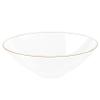 [16 OZ 40 Count] Clear Plastic Organic Design Party Soup bowls With Gold Rim Premium heavyweight Elegant Disposable Tableware Dishes view 3
