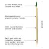 BLUE TOP Wood Bamboo Mint Individually Cello Wrapped Toothpicks 2.5 Inch Pack 1000,High Class Food Picks with Flavor,Bamboo Mint Toothpicks for Appetizers,Cocktails,Fruits,Olive,BBQ Picks. view 3