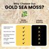 Herb To Body Irish Sea Moss  4oz, Gold, 100% Wildcrafted from Saint Lucia, Raw and Dried Sea Moss, Vegan Superfood with 90+ Minerals, Non-GMO view 3