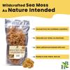 Herb To Body Irish Sea Moss  4oz, Gold, 100% Wildcrafted from Saint Lucia, Raw and Dried Sea Moss, Vegan Superfood with 90+ Minerals, Non-GMO view 4