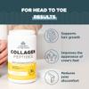 Ancient Nutrition Collagen Peptides, Collagen Peptides Powder, Vanilla Hydrolyzed Collagen, Supports Healthy Skin, Joints, Gut, Keto and Paleo Friendly, 12 Servings, 20g Collagen per Serving view 4