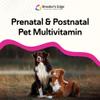 Breeders Edge Breed to Wean, Prenatal and Postnatal Multivitamin for Dogs & Cats, Supports Pregnant & Nursing Moms, Supplement Provides Antioxidants Vitamins & Minerals, 100ct for Medium & Large Dogs view 4