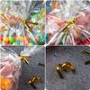 Labeol 300pcs Cellophane Bags 6X9 5X7 4X6 Cellophane Treat Bags with Ties Goodie Bag Clear Gift Bag Candy Cookie Party Favor Wraps for Packaging view 3