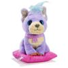 Bizak - Adoptanimals Purple Care Center (63040112) view 2