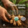 American Standard Supplements Organic Ginger Extract with Organic Black Pepper Extract, Vegan, Gluten Free, Non-GMO, 90 Capsules, 90 Servings view 3