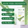 AloeCure USDA Organic Aloe Vera Juice Lemon Flavor - Made Within 12 Hours of Harvest - Natural Digestive Supplement for Balanced Stomach Acidity - Support Digestive and Immune Health, 18 Btls x 16.7oz view 2