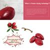Ohh! Berry Miracle Berry [all 15 of them], Magic Berries Taste Change, Natural & Freeze-Dried Friut, Turn Sour Sweet and Reduce Sugar Use For Better Health Forever, No Preservatives view 2