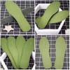 20pairs Breathable Cotton Insoles Comfortable Shoe Pads for Sweat Absorption Moisture-Wicking and Support for Men and Women for Daily Use view 2