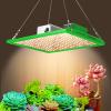 Sunleader LED Grow Light 100W with Samsung LEDs LM281B+ Full Spectrum Growing Lamp 1x0.8ft Coverage 4-Pack for Hydroponics Indoor Plant from Seeding Veg and Bloom Plant Growing Lamps view 1