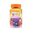 Emergen-C Kidz Daily Immune Support Dietary Supplements, Flavored Gummies with Vitamin C and B Vitamins for Immune Support, Berry Bash Flavored Gummies - 44 Count view 1