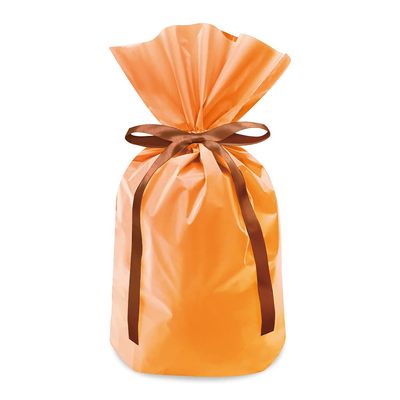 Frost Ribbon Gift Bags Small, Orange, Pack of 40