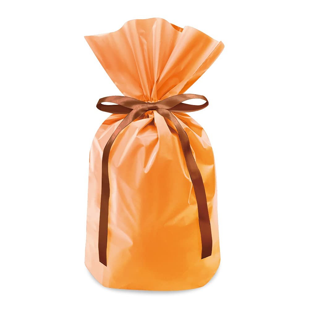 Frost Ribbon Gift Bags Small, Orange, Pack of 40