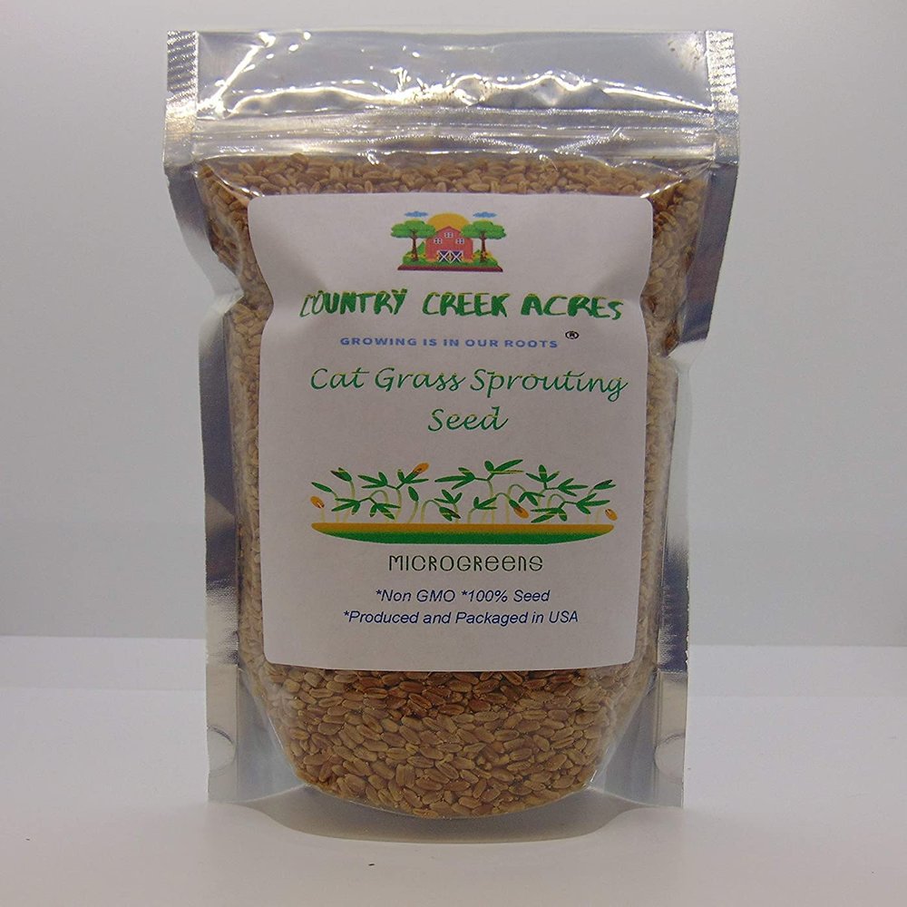 8 Ounce Catgrass Seeds - Hard Red Wheat- Wheatgrass Non GMO - Country Creek Acres LLC - Grown in The USA