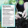 Ocean's Balance Organic Kombu Flakes  Maine Coast Vegetables for Keto, Paleo, Vegetarian & Vegan Diets (16 Ounce, Granules) view 2