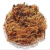 WW Indian Jadibooti Amarbel Akash Bel Aftimoon Afteeyun Amar Bel Dry Amarbel Dried Amar bel 100 Gram view 1