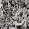 1 Pack, Gray Crinkle Cut Shredded Paper, 8 Oz Bag for Party, Holiday & Events, Made in USA view 1