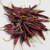 1lb Puya Dried Whole Chile Peppers, Pulla Chili Seco Pods by 1400s Spices view 2