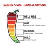 1lb Puya Dried Whole Chile Peppers, Pulla Chili Seco Pods by 1400s Spices view 4