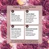 Herb To Body Purple Sea Moss  4oz, Purple Sea Moss, Gold, 100% Wildcrafted from Saint Lucia Raw and Dried, Vegan Superfood with 90+ Minerals, Non-GMO view 2