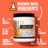 Outwork Nutrition Post Workout Recovery Powder - Creatine Monohydrate, KSM-66 Ashwagandha & Tart Cherry - Speeds Recovery, Eases Soreness - Creatine Powder for Men & Women, Orange Sherbet, 230 Gr view 3