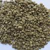 10 Lb, Single Origin Unroasted Green Coffee Beans, Specialty Grade From Single Nicaraguan Estate, Direct Trade (Caturra Varietal) view 1