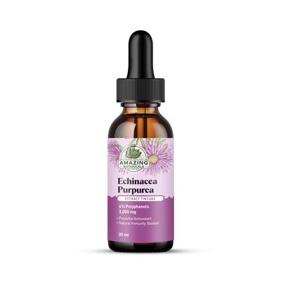 Amazing Botanicals Echinacea Purpurea Extract Tincture - 3,000mg Herbal Liquid Supplement Extract for Immune System Support - High Strength Formula with Natural Antioxidant for Overall Wellbeing