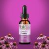 Amazing Botanicals Echinacea Purpurea Extract Tincture - 3,000mg Herbal Liquid Supplement Extract for Immune System Support - High Strength Formula with Natural Antioxidant for Overall Wellbeing view 2