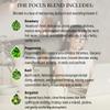 Absolute Aromas Focus Aroma-Roll Roller Ball - Contains 100% Pure, Natural Rosemary, Basil, Bergamot Essential Oil view 2