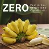 Organic Sun Dried Whole Bananas | No Sugar Added | No Preservatives | Unsulfured | Soft and Chewy Little Banana | Thai Natural Fruit Snacks | Super Potassium Snack (4 LB Whole Bananas) view 4