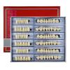 168 Pcs Dental Synthetic Resin Tooth Denture 3 Sets False Teeth 23 A3 Upper Lower Shade Dental for Halloween Horror Teeth view 1
