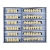 168 Pcs Dental Synthetic Resin Tooth Denture 3 Sets False Teeth 23 A3 Upper Lower Shade Dental for Halloween Horror Teeth view 2