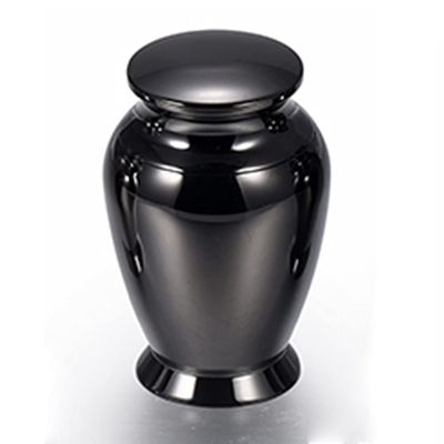 TIANZXS 316 L Stainless Steel Ashes Keepsake Memorial Urns Casket Funeral Token Cremation Ashes Holder 4