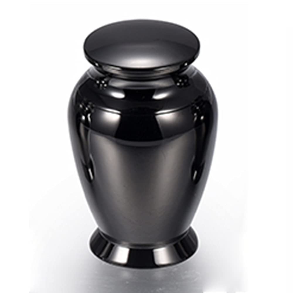 TIANZXS 316 L Stainless Steel Ashes Keepsake Memorial Urns Casket Funeral Token Cremation Ashes Holder 4