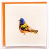Sunshine Expressions - Bird Photography Smooth Note Cards 8 w/10 Colored Envelopes, Boxed Set (4.25"x 5.50") Blank Inside - Made in USA view 2