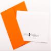 Sunshine Expressions - Bird Photography Smooth Note Cards 8 w/10 Colored Envelopes, Boxed Set (4.25"x 5.50") Blank Inside - Made in USA view 3
