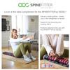 SPINEFITTER by SISSEL Linum | Flaxseed Heat/Cold Pillow | Targeted Treatment for Spinal Muscles | Optimal Relaxation & Well-Being | Versatile Use | Ideal Shape & Design view 2