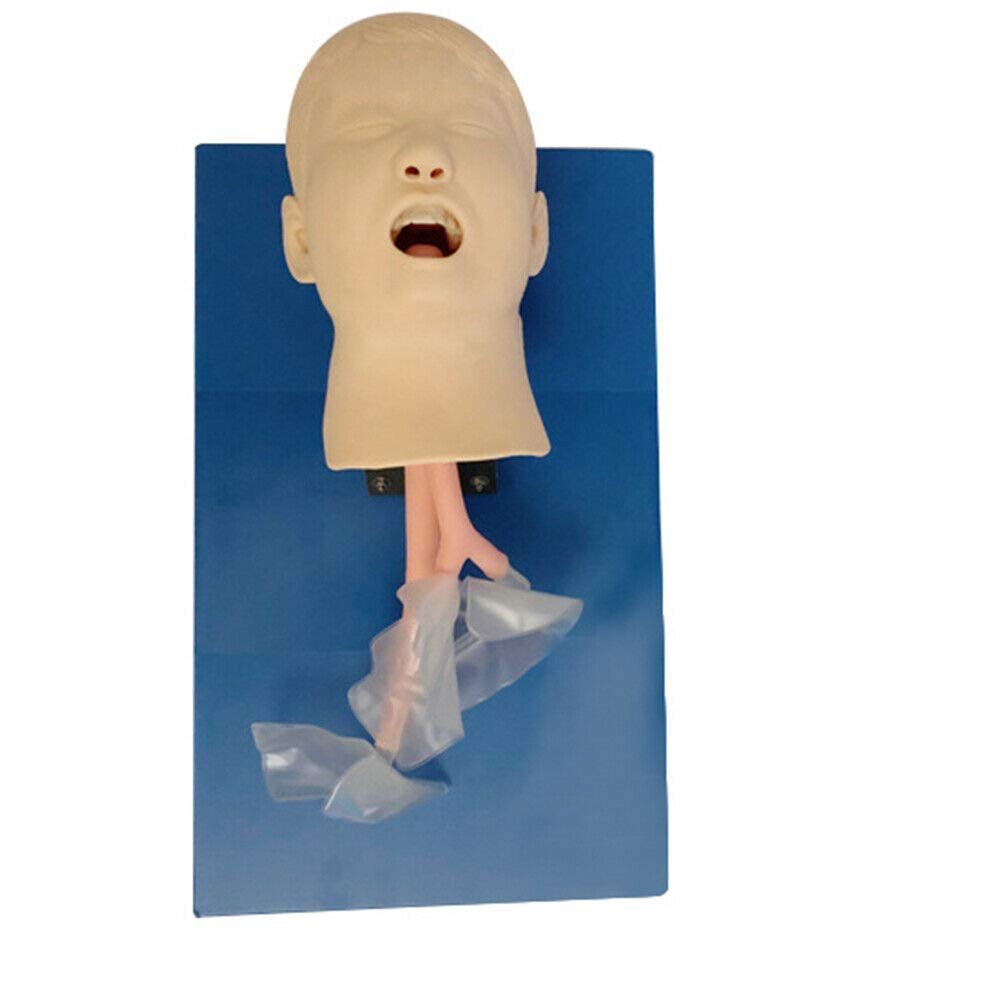 CNCEST Airway Manikin Study Teaching Model, Oral Nasal Intubation Manikin Training Study Teaching, Model Airway Management Trainer (Children's Model)