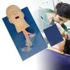 CNCEST Airway Manikin Study Teaching Model, Oral Nasal Intubation Manikin Training Study Teaching, Model Airway Management Trainer (Children's Model) view 3