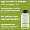 Casa de Sante FODMAP Digestive Enzymes, No High Inulin, Keto Carnivore Intolerance Support, 18 Multi Enzyme Amylase Bromelain Lipase Lactase Protease Papain Alpha galactosidase, More - No GMO view 4