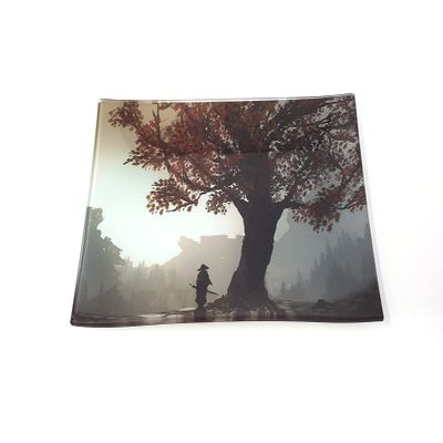 E.G.G. Shatter Resistant Glass Tray: Decorative Tray/Rolling Tray/Collectable/High Resolution/Great Gift (Lone Samurai)