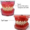 BOVDC Standard Teeth Model, Dental Crown Models Soft Gums, Dental Model Resin Removable Full Mouth Teeth for Tooth Extraction Exercises, Doctor Explains to The Patient view 3