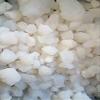 Indian Jadibooti Banslochan Spl (Synthetic) Tabasheer Tabha Sheer Bambusa 100 Gram view 2