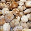 Premium Dried Lion's Mane Mushroom (1lb) view 3